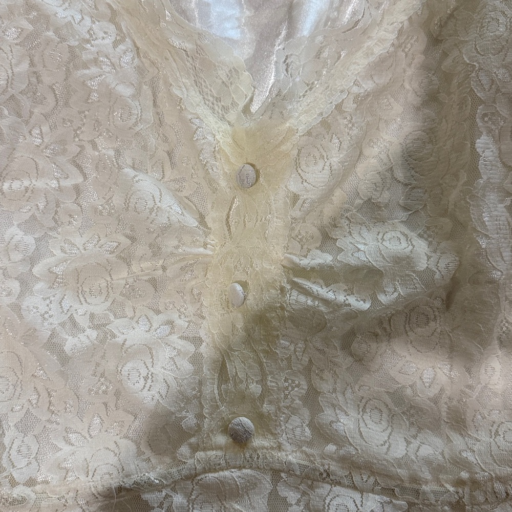 Lace Button-Up Blouse - Picture 3 of 4